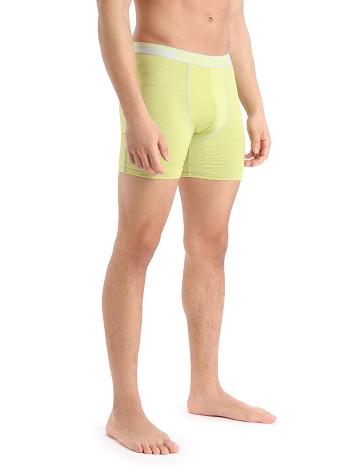 Bielizny Icebreaker Merino Anatomica Long Boxers Męskie Mięta | PL 1664HAPK